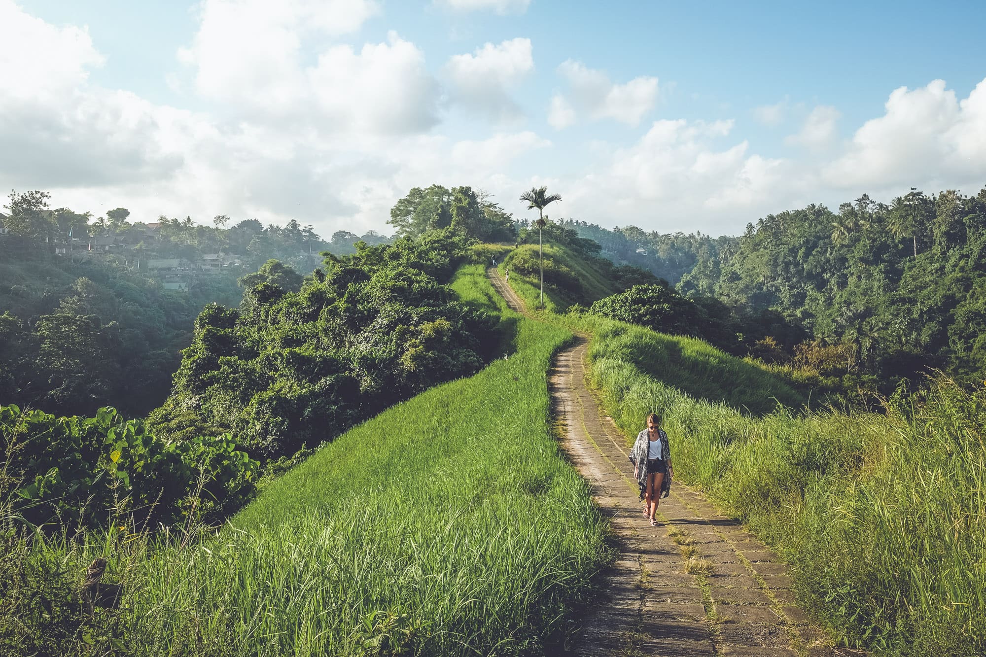 What to Do in Ubud? 12 Things to Do in the Most Beautiful Places!