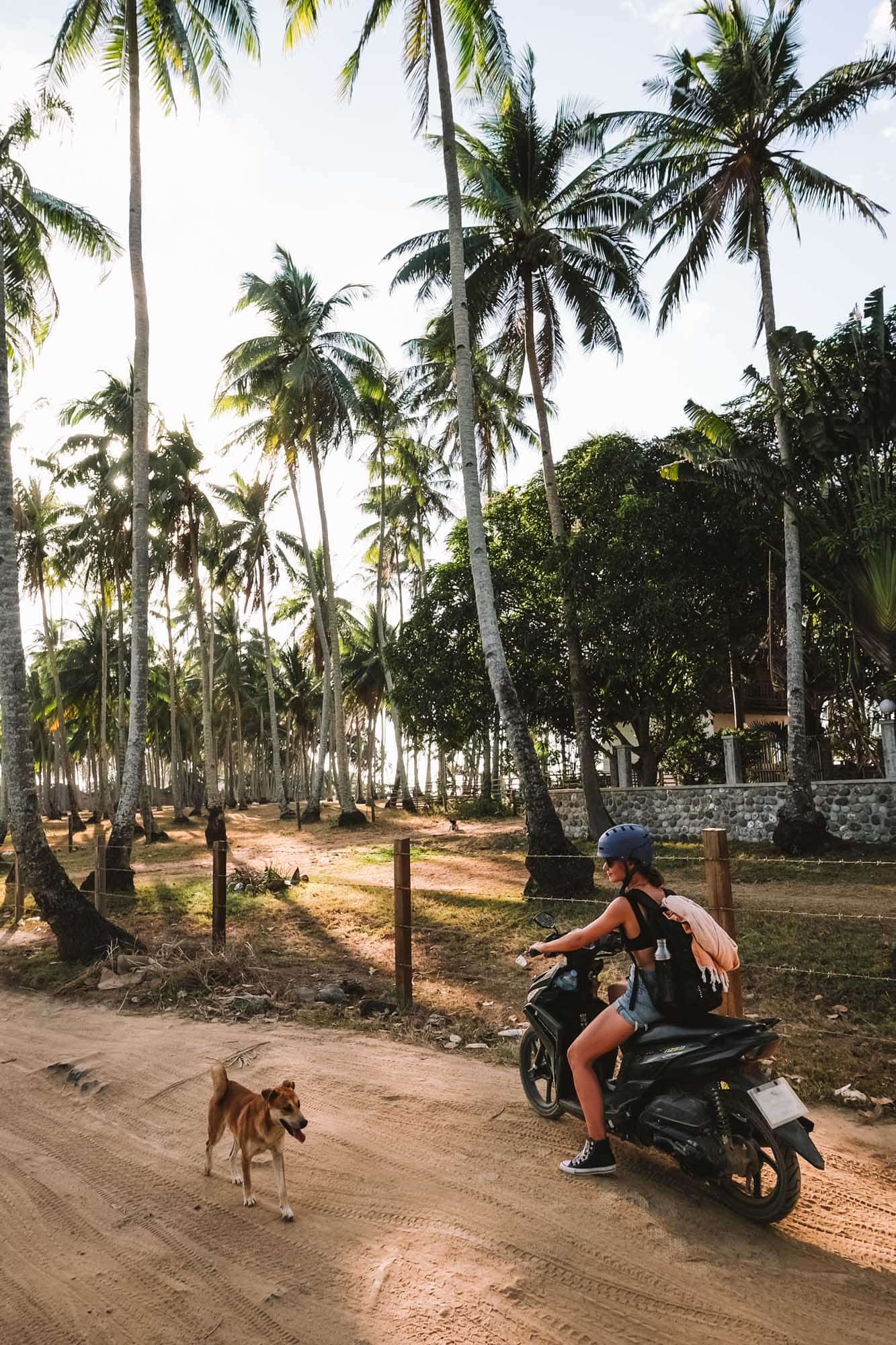 What to do in El Nido? 10x The Best Things to Do! Travelrebels