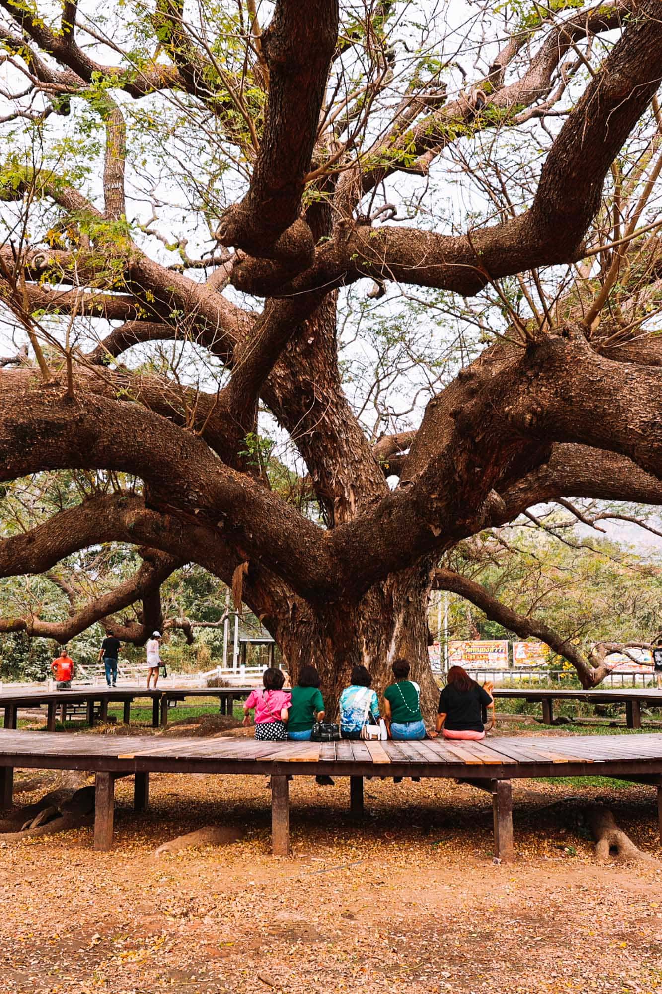 10 Best Things To Do in Kanchanaburi - Travelrebels