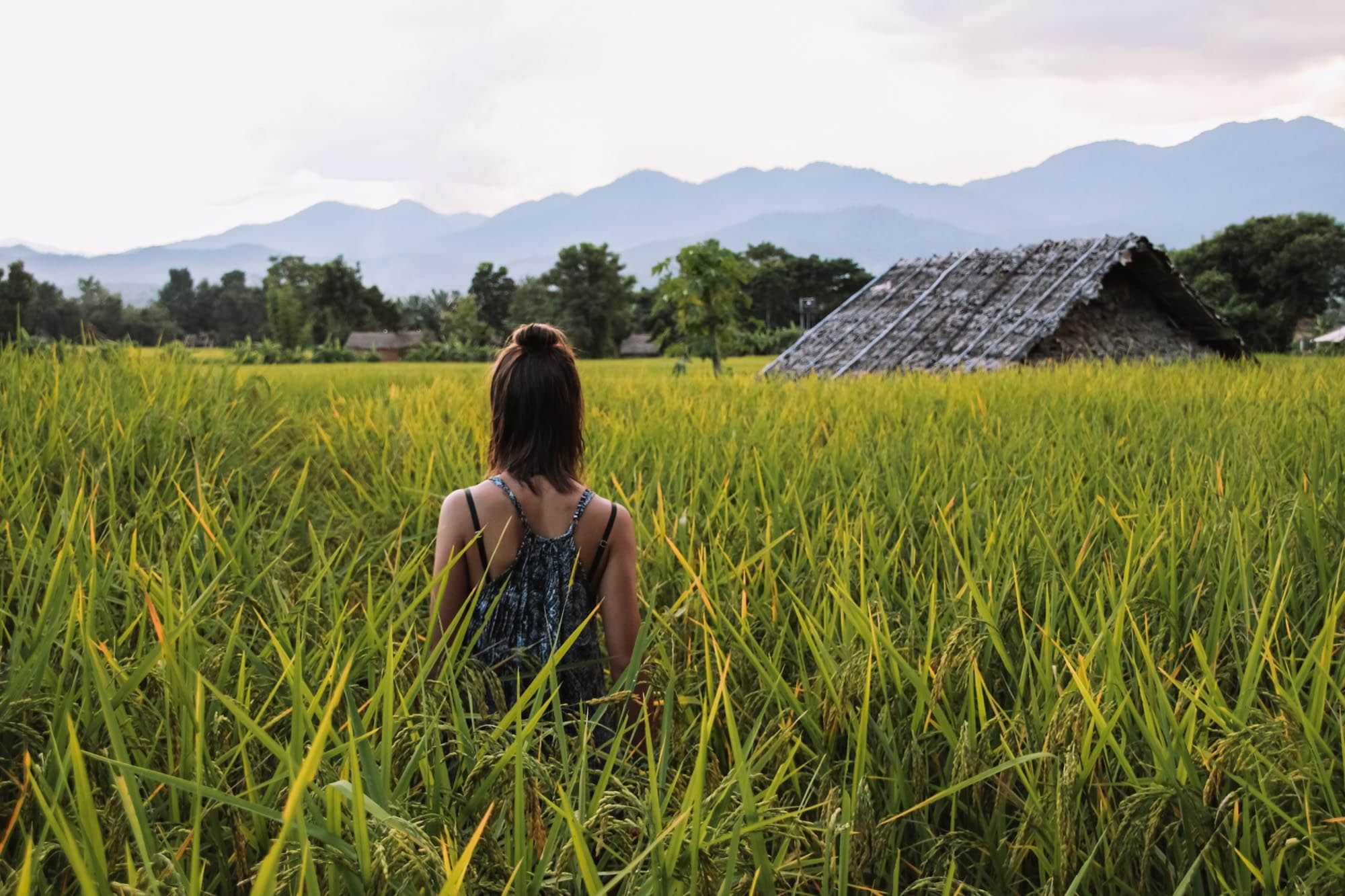 What to do in Pai, Thailand? 12x The Best Tips! - Travelrebels