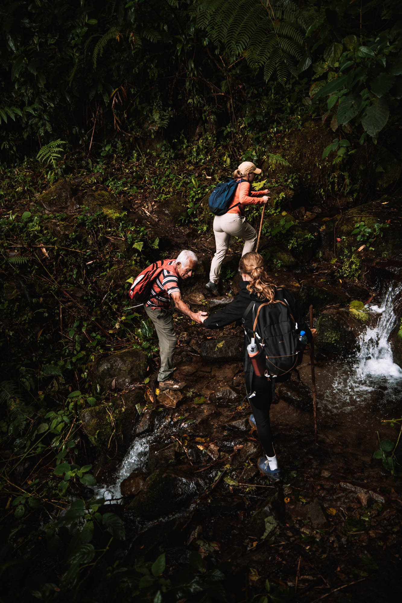Tips for El Pianista Trail in Boquete, Panama (Updated 2024)