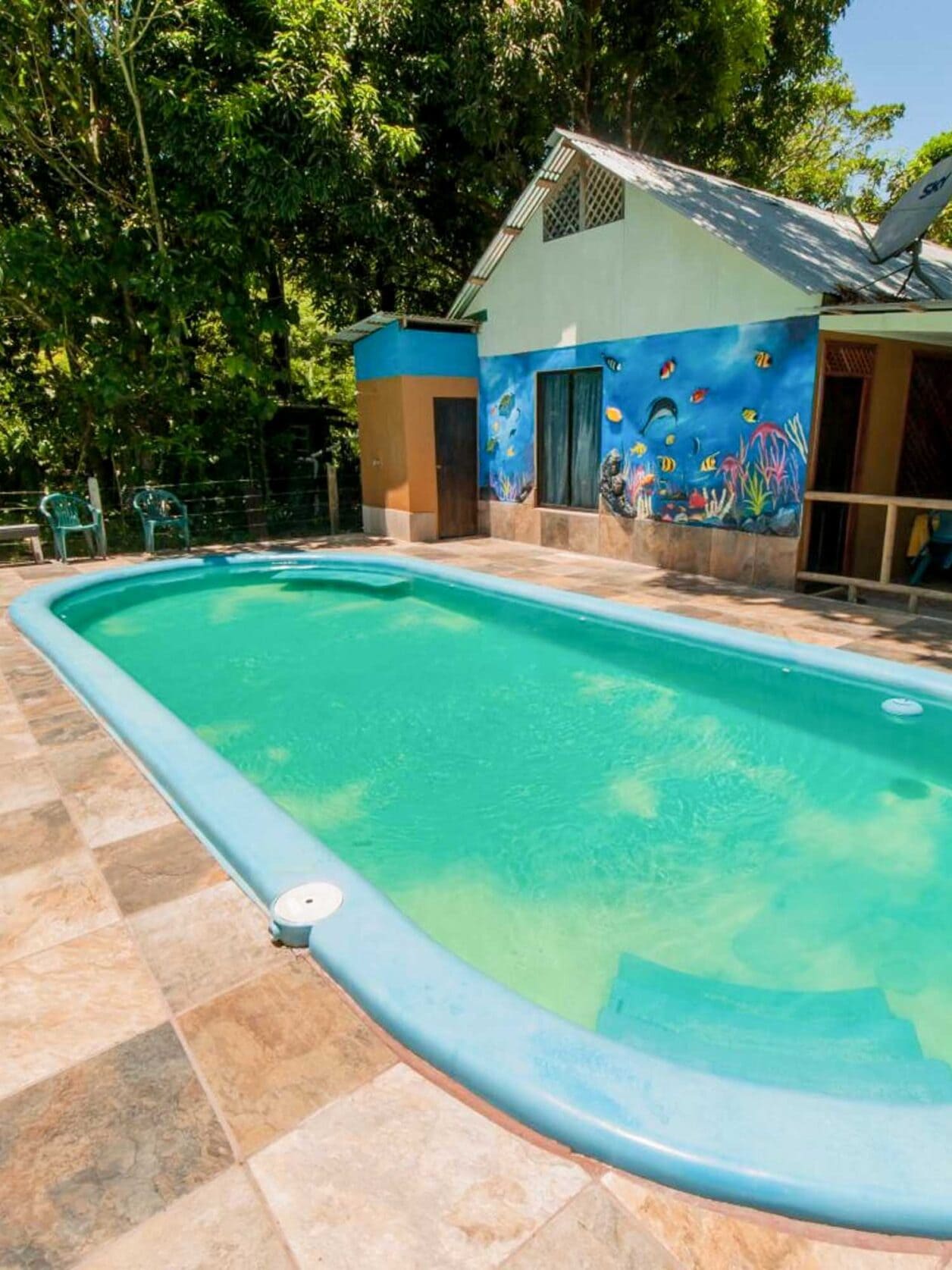 Tortuguero National Park Hotels; The 10 Best Tips for Tortuguero National Park - TRAVELREBELS