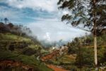 What to Do in Nuwara Eliya, Sri Lanka? The 8 Best Things to Do