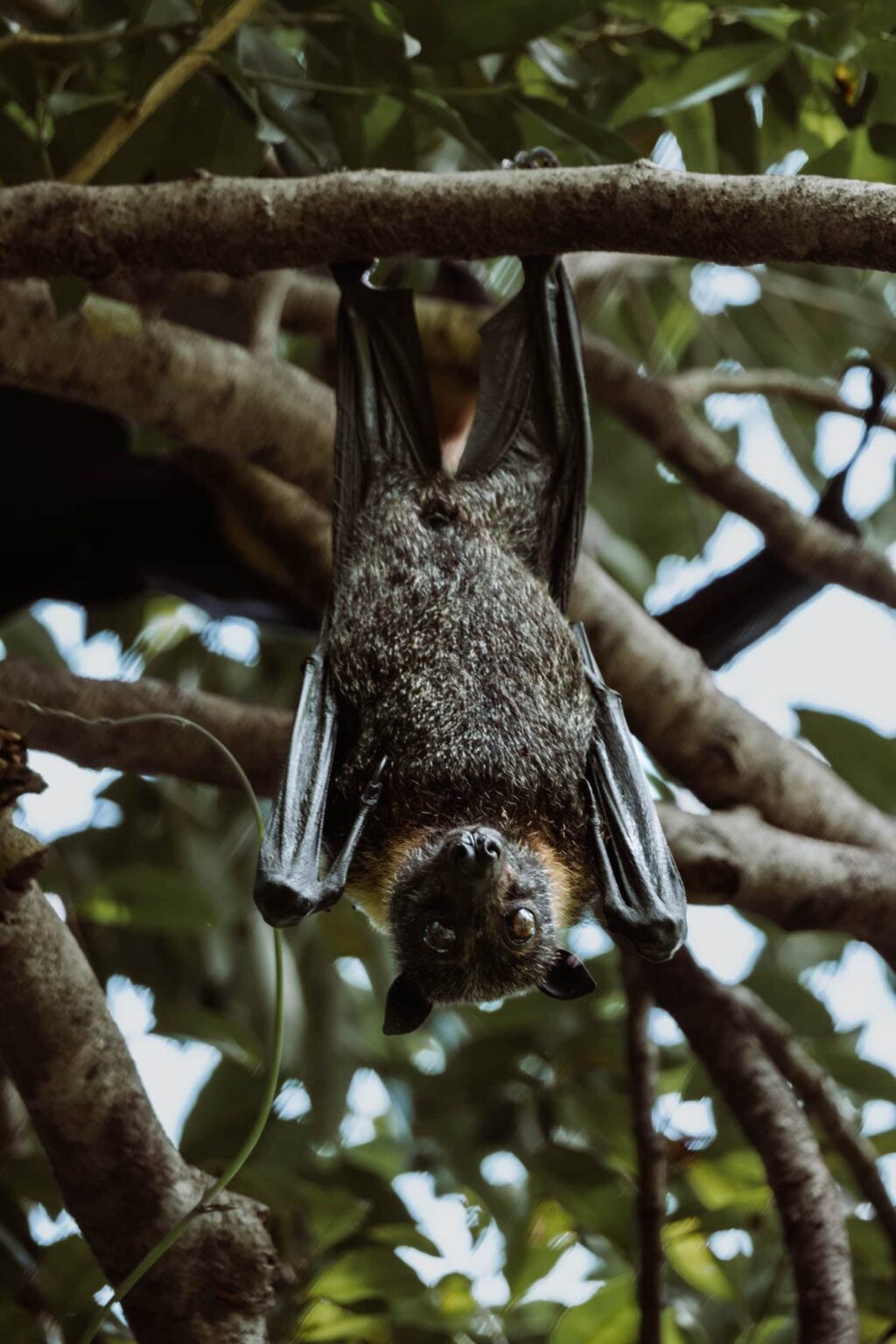 The Ultimate Itinerary for Island-Hopping in Raja Ampat